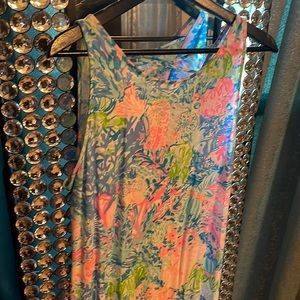 Beautiful Lilly dress